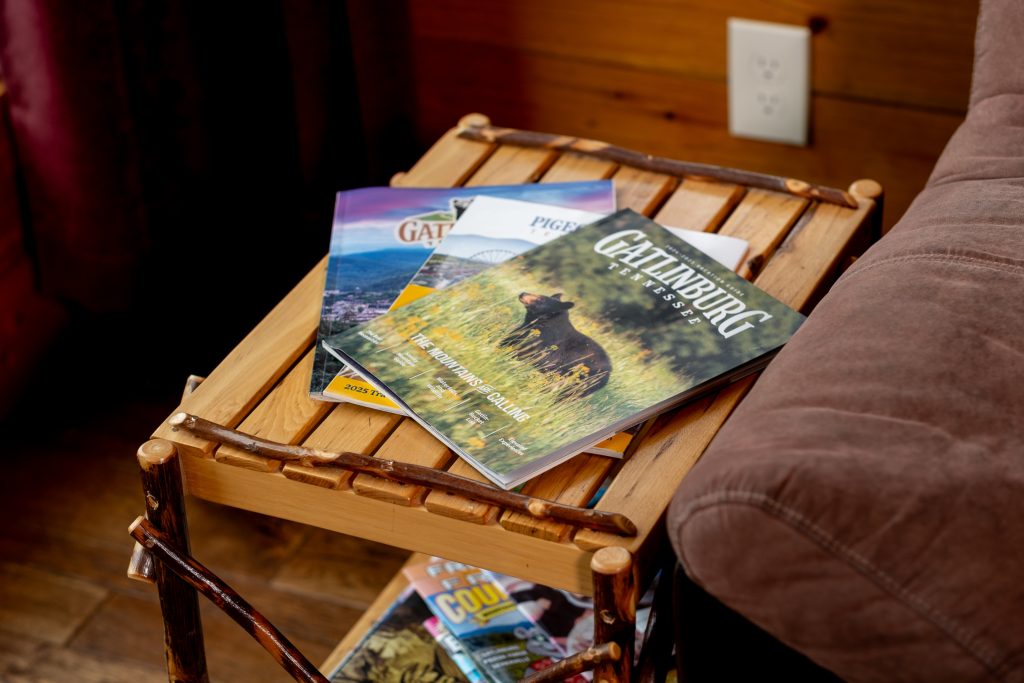 Local hiking and Smoky Mountains guidebooks arranged beside a cabin sofa.