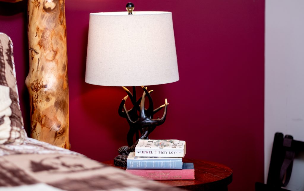 Antler lamp and books detail at a vacation rental in Gatlinburg, Tennessee.